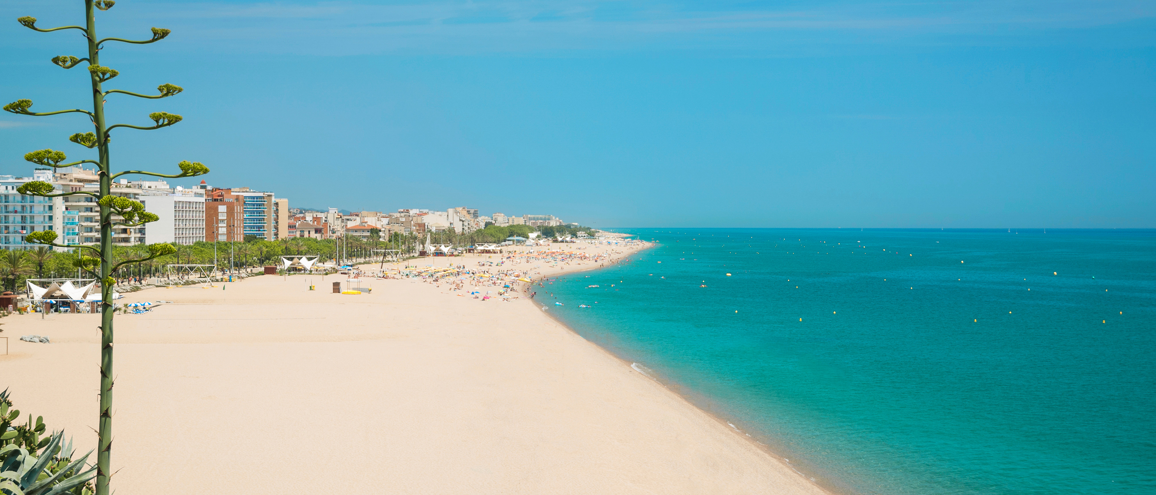 Download Kysten udsmykning For Free Kysten Udsmykning