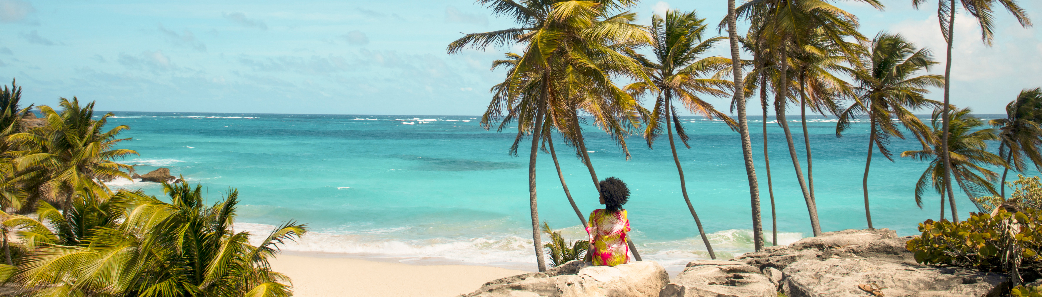 Priser på barbados Priser på barbados